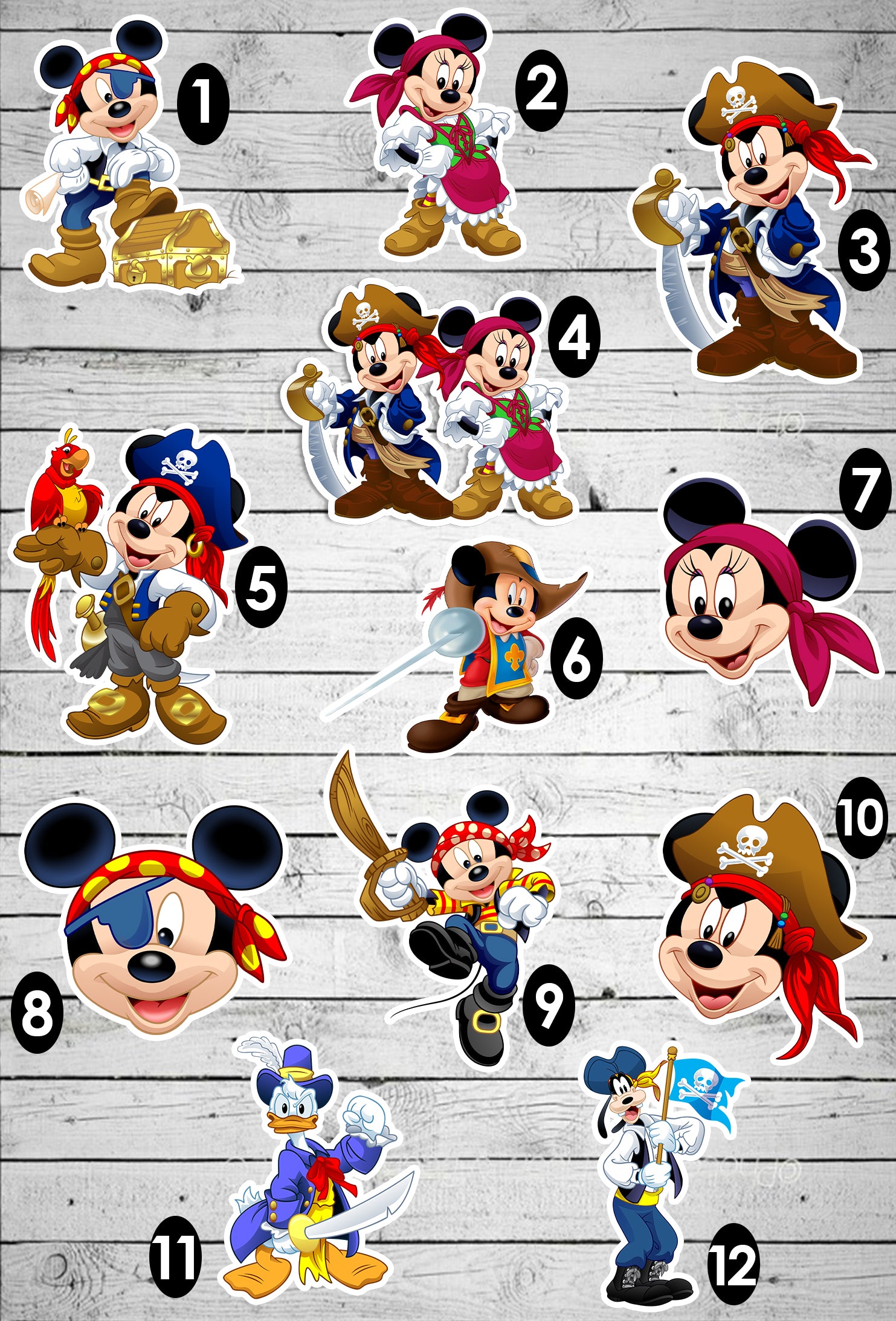 Disney Cruise Line Pirate Magnets