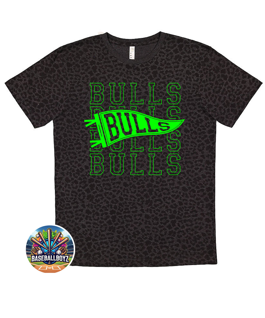 Bulls Stacked Pennant Team Graphic T-Shirt