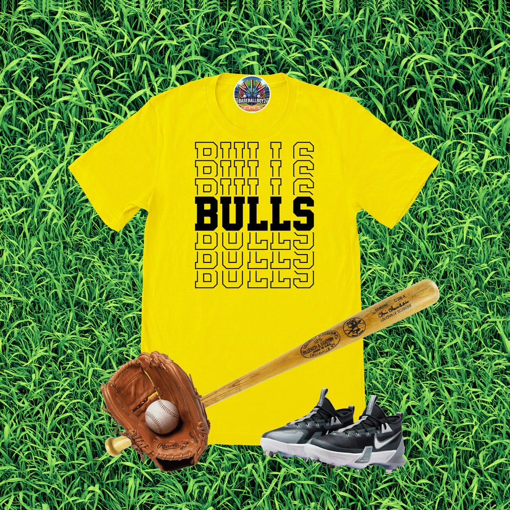 Stacked Bulls Team Graphic T-Shirt