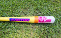 Dub Taped Plastic Baseball Bat